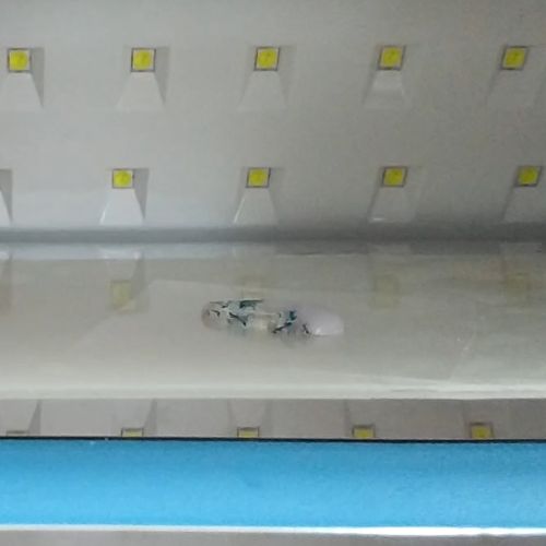 ④カットしたパーツを接着する