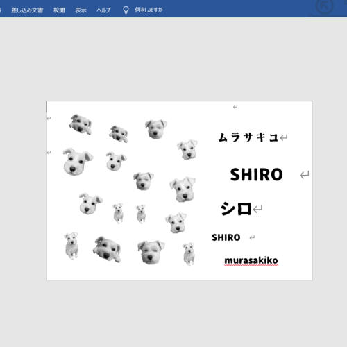 ⑤写真を編集してOHPフィルムに印刷する