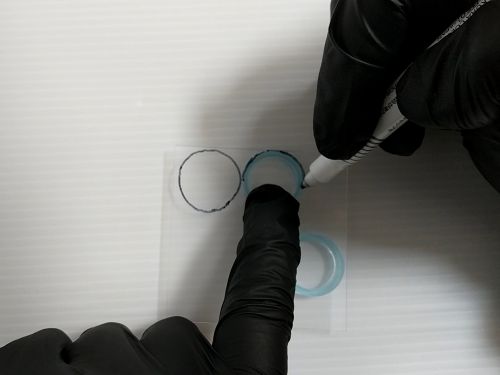 ②リングの片側にフィルムを貼り付ける