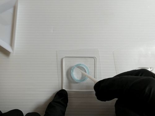②リングの片側にフィルムを貼り付ける