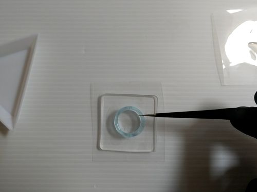 ②リングの片側にフィルムを貼り付ける