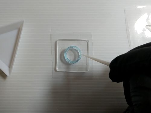 ②リングの片側にフィルムを貼り付ける