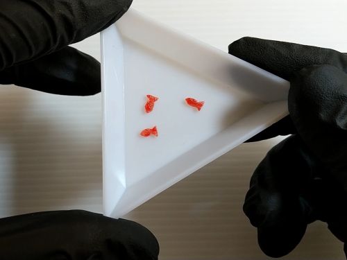 ③金魚のパーツを作る
