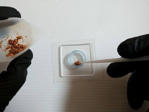 ④各パーツをリングの中に配置してフィルムで蓋をする