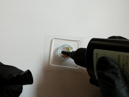 ④各パーツをリングの中に配置してフィルムで蓋をする