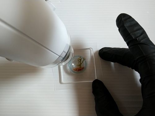 ④各パーツをリングの中に配置してフィルムで蓋をする