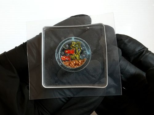 ④各パーツをリングの中に配置してフィルムで蓋をする