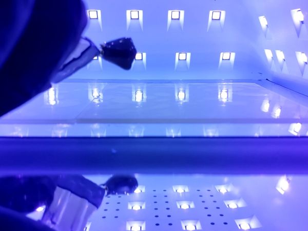 ③目とツノをレジンペンで着色してどぼん液でコーティングする