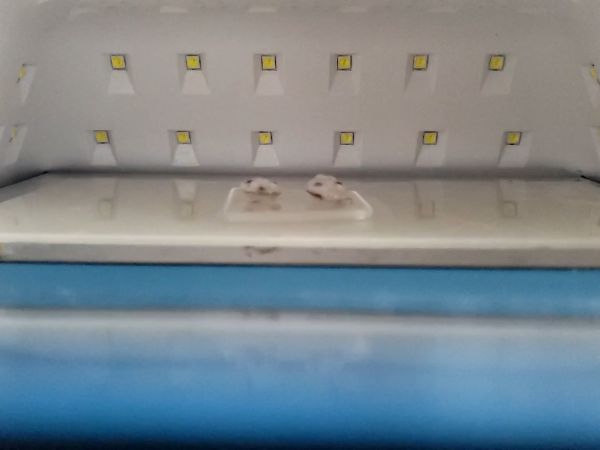 ⑤表面にも花柄を付けて立体感を出す