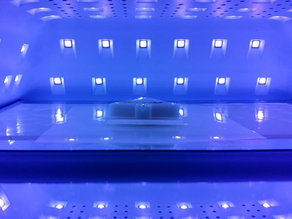 ⑥コーティングする