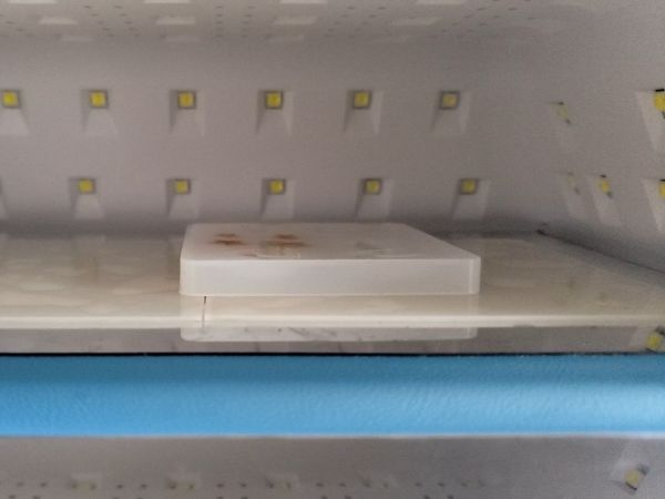 ②星型のパーツを作る