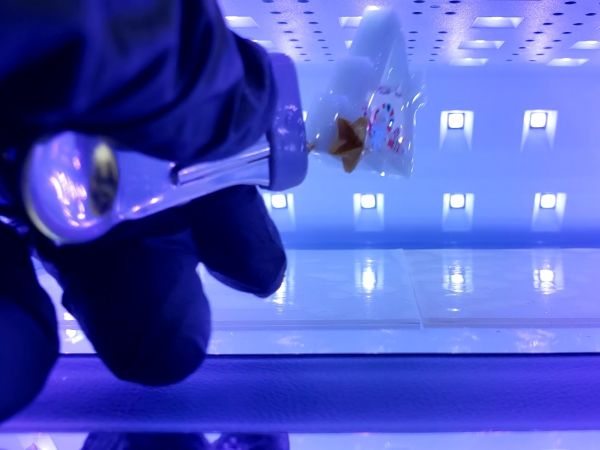 ⑥コーティングする