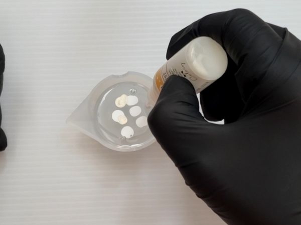 ①ツリーのシェイカー本体を作る