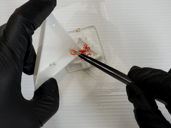 ④封入物を入れてフィルムを貼る