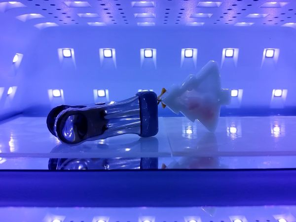 ⑥コーティングする