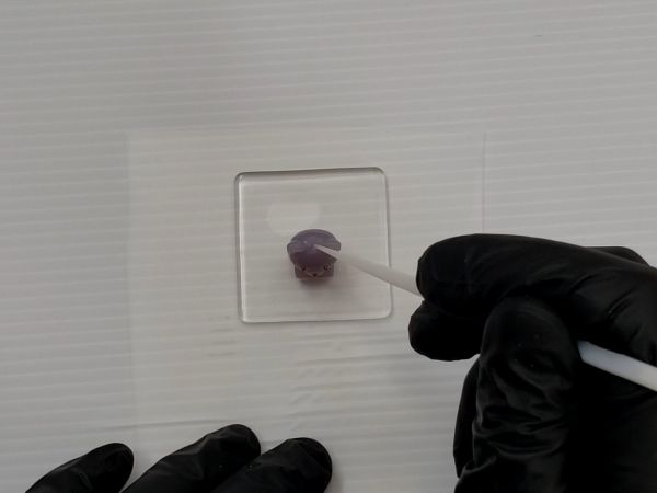 ①立体ミニアニマルパーツを作る