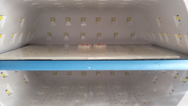 ②イニシャルパーツを作る