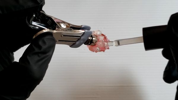 ①いちごパーツを作る