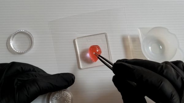 ①いちごパーツを作る