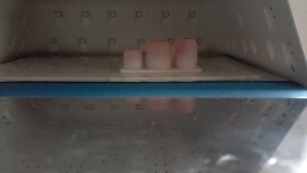 ①いちごパーツを作る