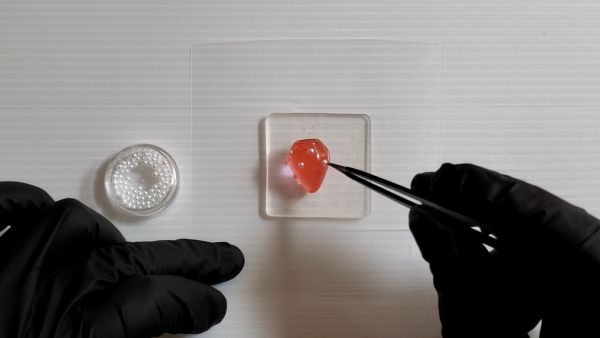 ①いちごパーツを作る