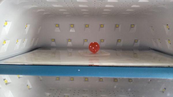 ①いちごパーツを作る