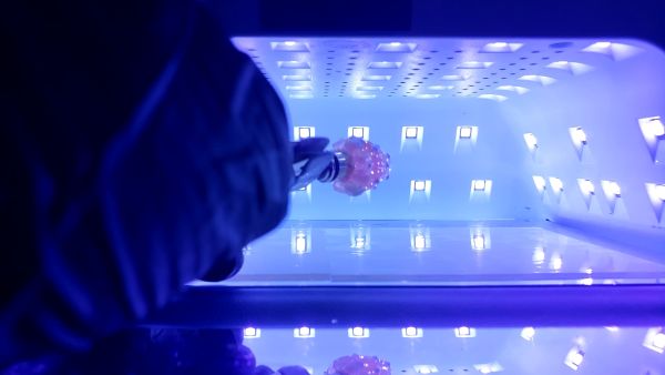 ①いちごパーツを作る