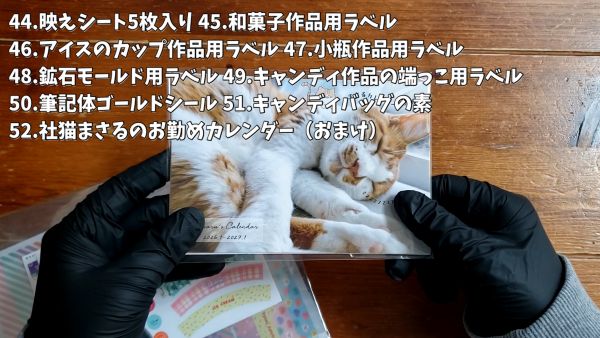52.社猫まさるのお勤めカレンダー（おまけ）