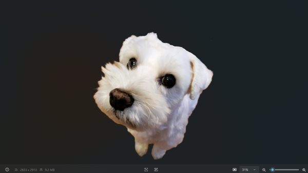 ①印刷した画像をデコパージュ液でコーティングする