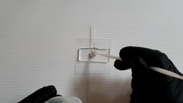 ②レジン液とドライフラワーとTピンでパーツを作る