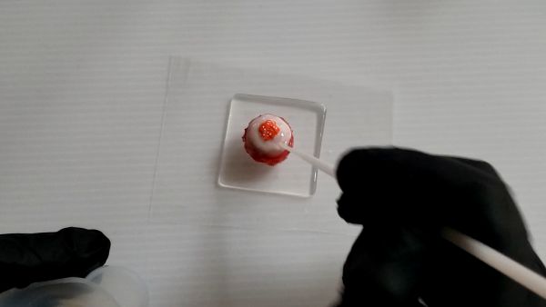 ③シロップ・ソースを作ってかき氷にかける