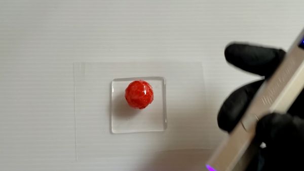 ③シロップ・ソースを作ってかき氷にかける