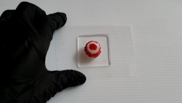 ③シロップ・ソースを作ってかき氷にかける