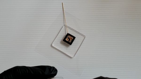 ②フィルムを接着して封入物を入れてコーティングする